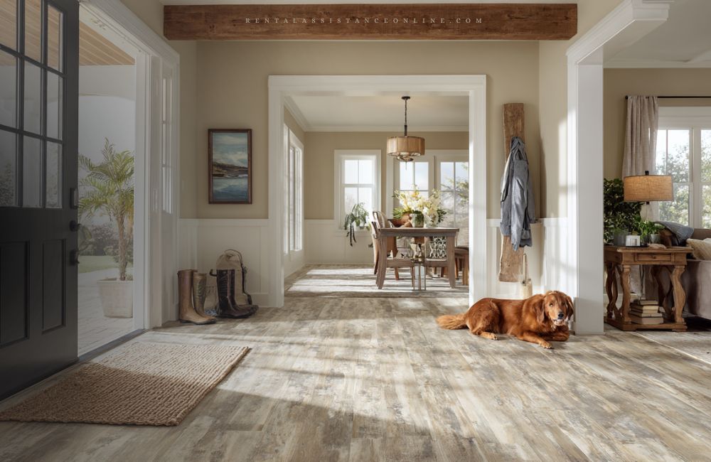 Pet-Friendly Short-Term Rentals in Cincinnati pet policy guide